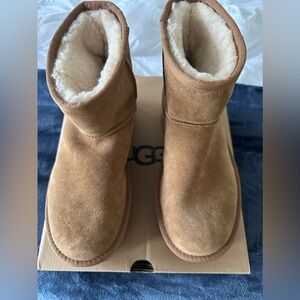 Brand new Uggs Classic Mini Platform. Size 7. Color is Chesnut. Never worn.